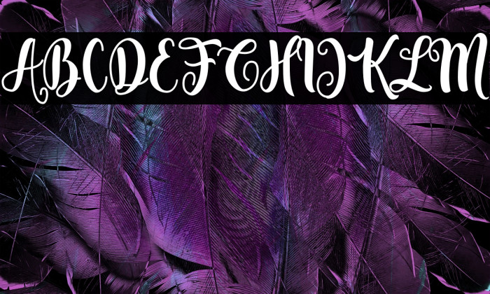 Fenthy Wahuky Example 2