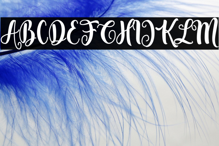 Fenthy Wahuky Example 3