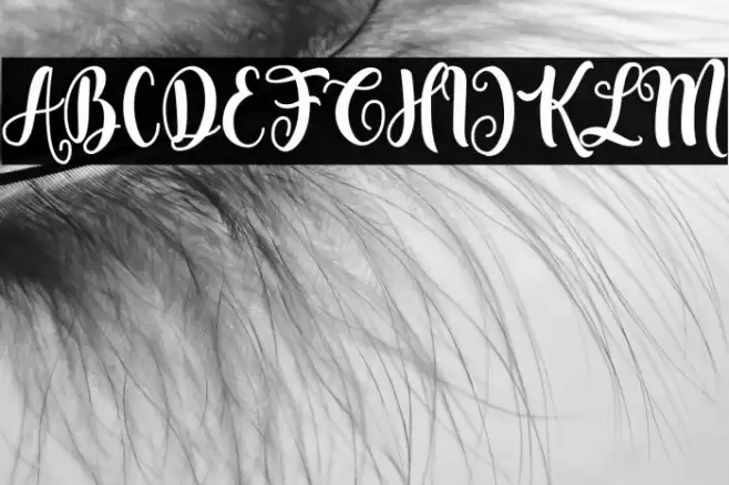 Fenthy Wahuky Font examples