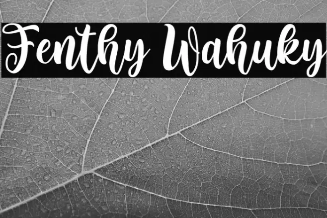 Fenthy Wahuky Font examples