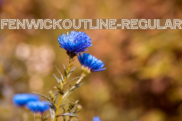 FenwickOutline-Regular Font examples