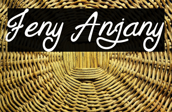 Feny Anjany Example 1