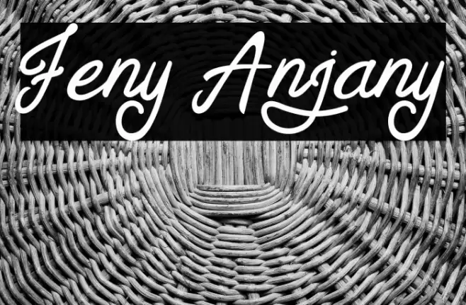 Feny Anjany Font examples