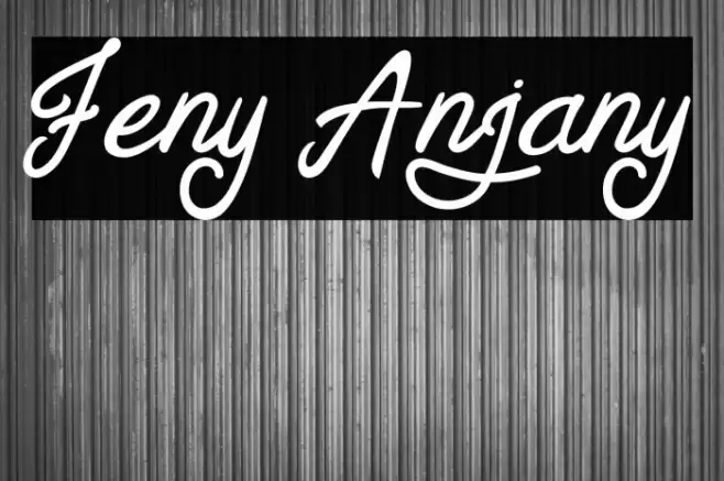 Feny Anjany Font examples