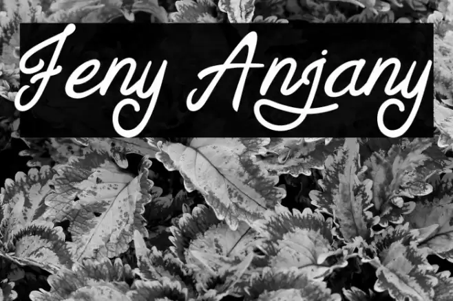 Feny Anjany Font examples