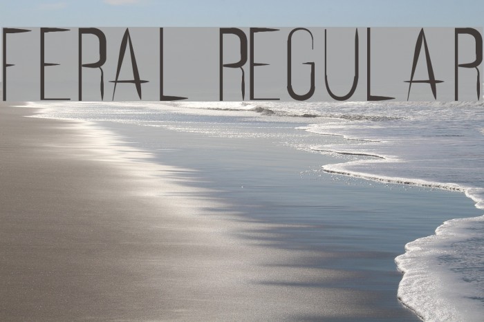 Feral Regular Example 1