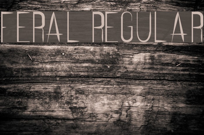 Feral Regular Example 2