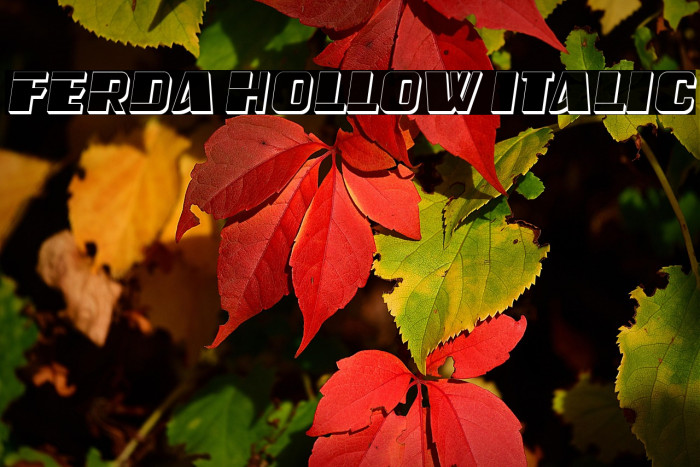 Ferda Hollow Italic Example 2