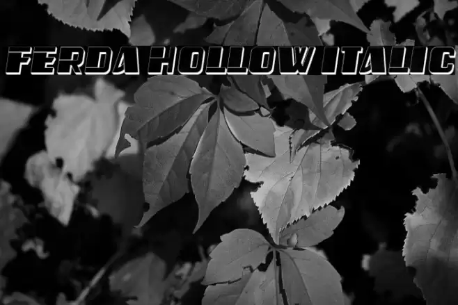 Ferda Hollow Italic Font examples
