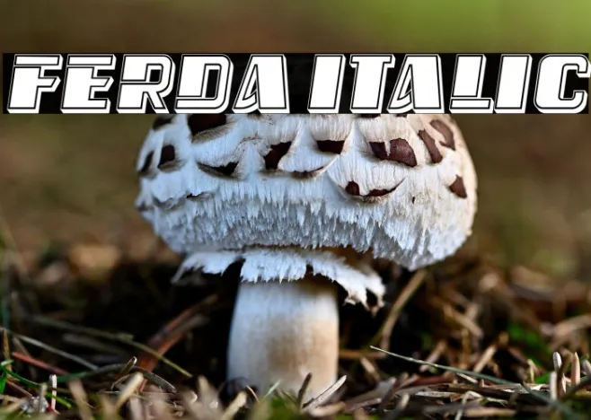 Ferda Italic Example 2