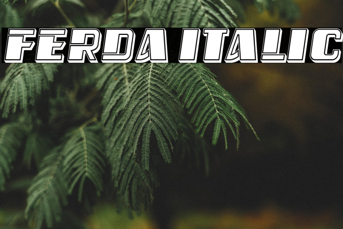 Ferda Italic Example 3