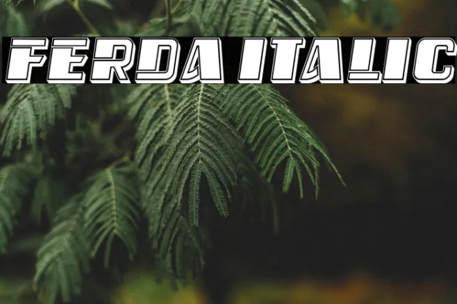 Ferda Italic Example 3