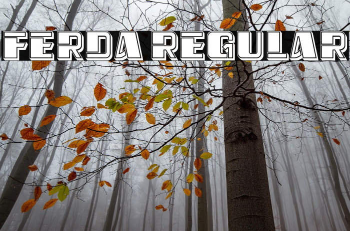 Ferda Regular Example 1