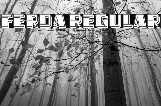 Ferda Regular Font examples