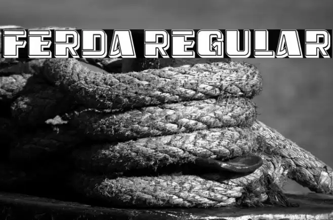 Ferda Regular Font examples