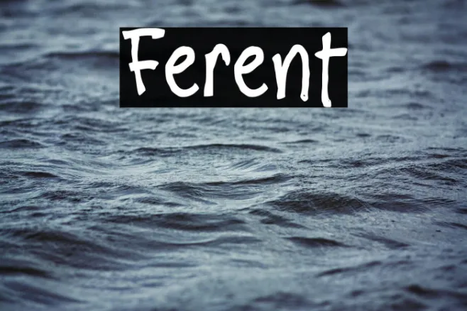 Ferent Example 3