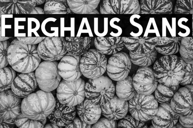 Ferghaus Sans Font examples
