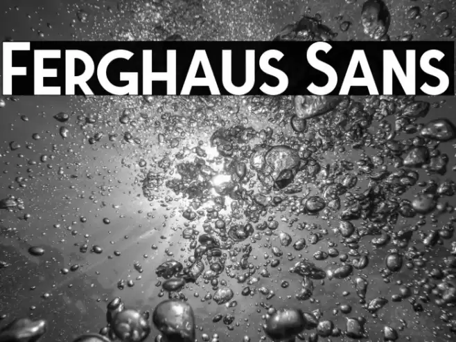 Ferghaus Sans Font examples