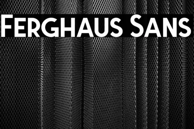 Ferghaus Sans Font examples