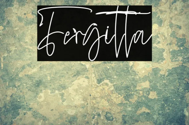 Fergitta Example 1