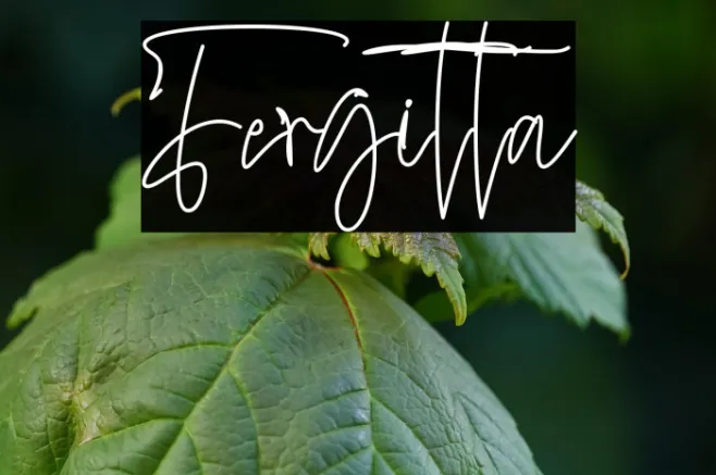 Fergitta Example 3