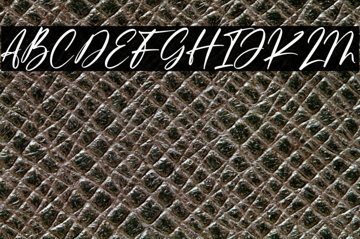 Ferguson Hunter Example 3