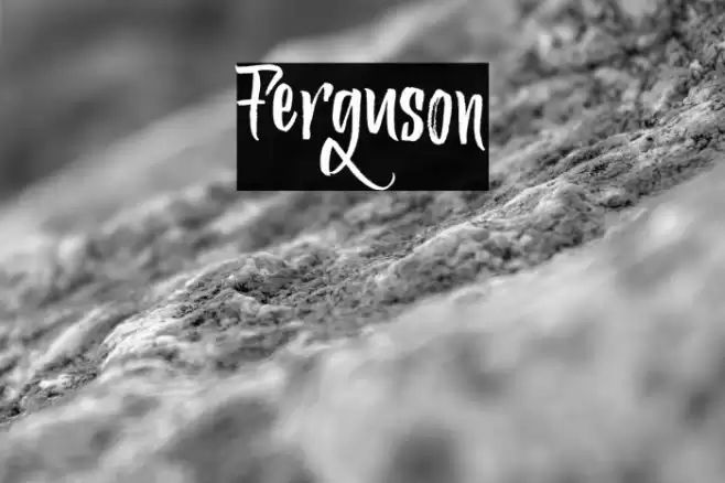 Ferguson Font examples