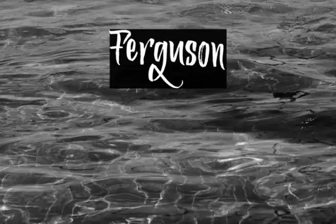 Ferguson Font examples