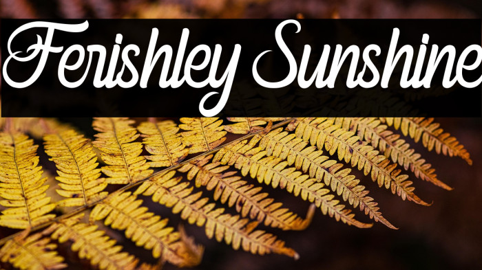 Ferishley Sunshine Example 1