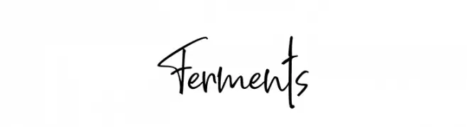 Ferments  font caratteri gratis