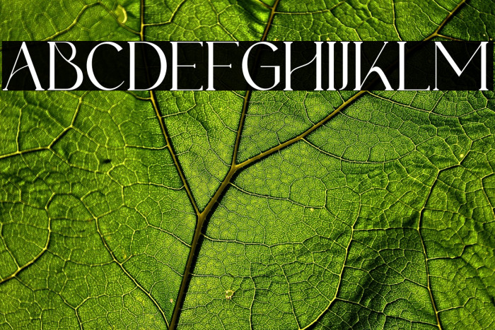 Fernstad-Regular Example 2