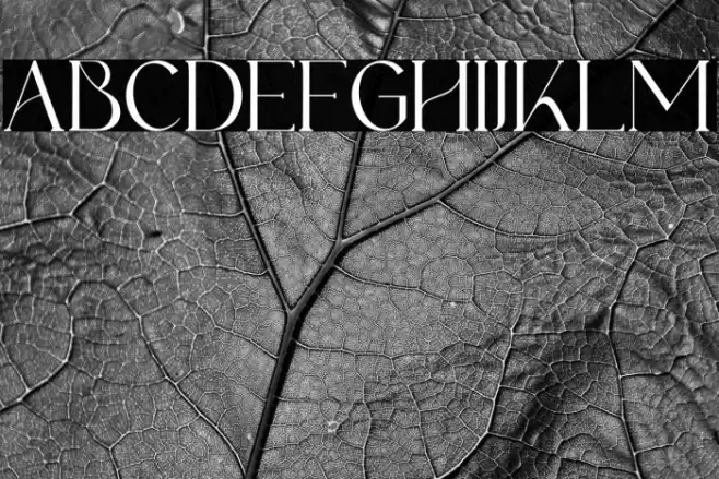 Fernstad-Regular Font examples