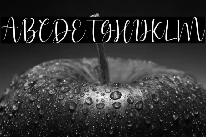 Fernynda Font examples