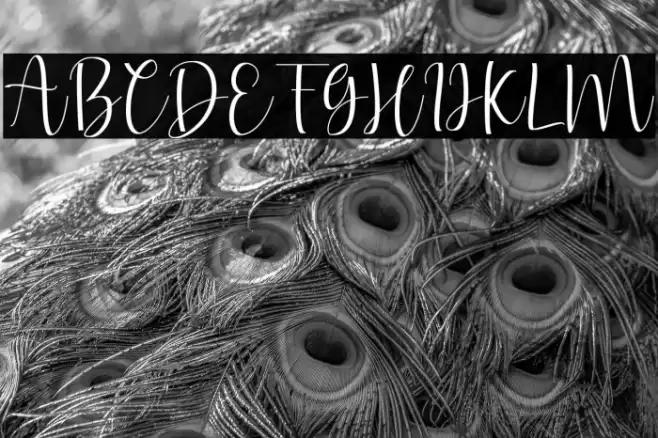 Fernynda Font examples