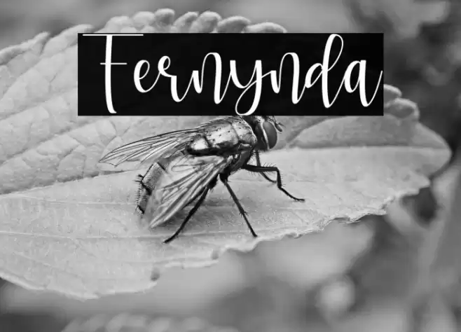 Fernynda Font examples