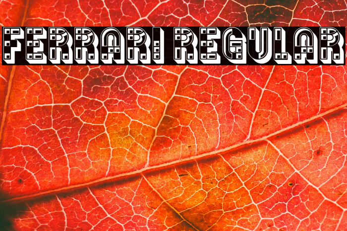 Ferrari Regular Example 2