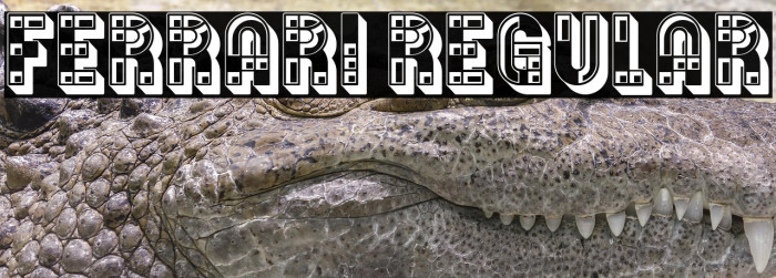 Ferrari Regular Example 3