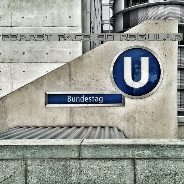 Ferret Face 3D Regular Example 1