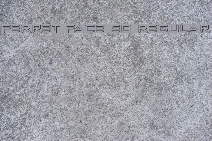 Ferret Face 3D Regular Example 2