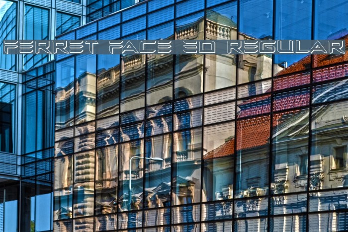 Ferret Face 3D Regular Example 3