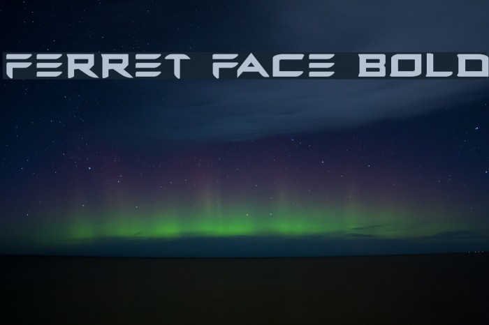 Ferret Face Bold Font examples