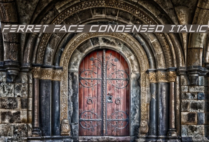 Ferret Face Condensed Italic Font examples