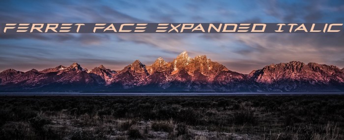 Ferret Face Expanded Italic Example 1