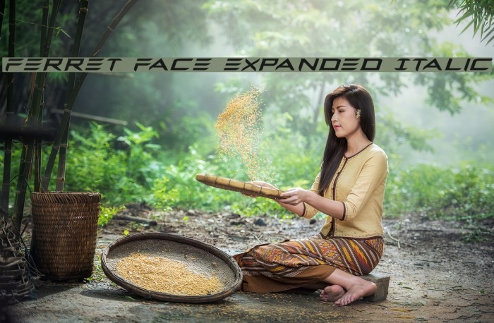 Ferret Face Expanded Italic Example 2