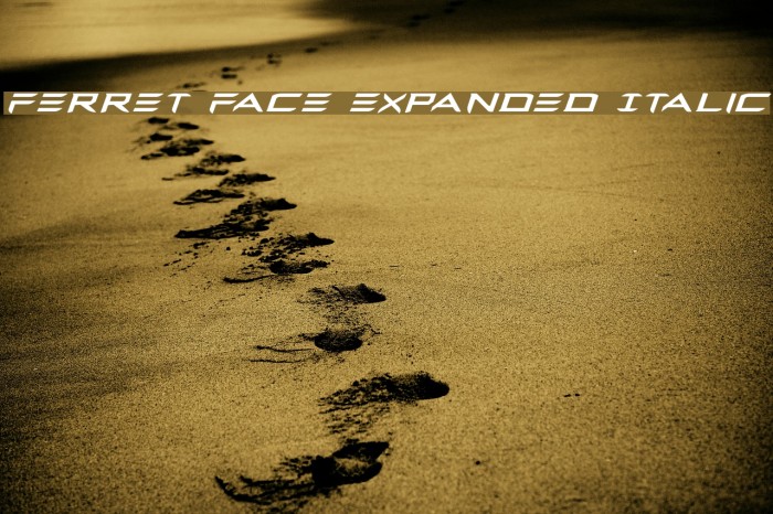 Ferret Face Expanded Italic Example 3