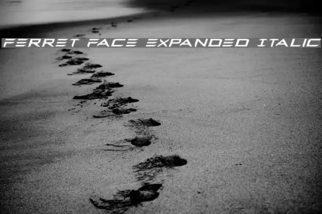 Ferret Face Expanded Italic Font examples