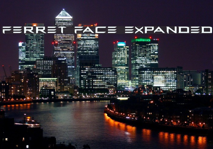 Ferret Face Expanded Example 1