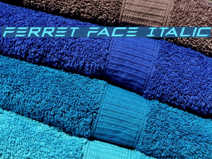 Ferret Face Italic Example 2