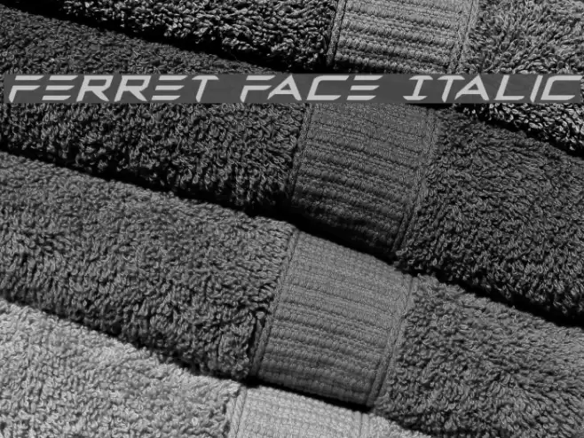 Ferret Face Italic Font examples