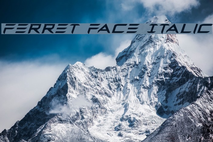 Ferret Face Italic Example 3